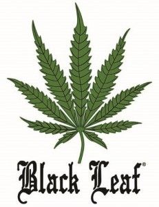 Black Leaf