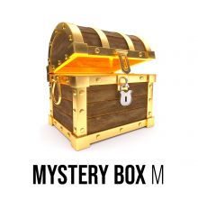 Mystery Box Shisha - Large